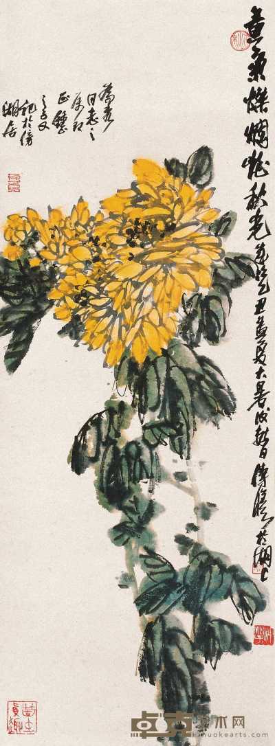 舒传曦 乙丑（1985年）作 菊花图 立轴 91×34cm